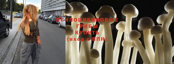 MESCALINE Аркадак