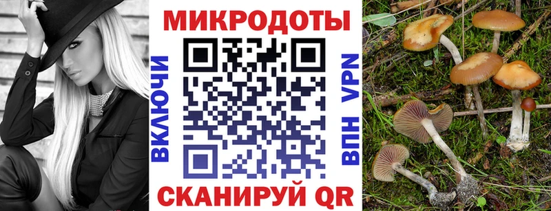 OMG зеркало  Балахна  Галлюциногенные грибы Psilocybine cubensis 